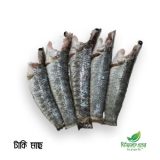 Taki Mach | টাকি মাছ | Ready to Cook