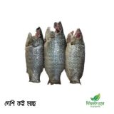 Desi Koi Mach | দেশি কই মাছ | Ready to cook