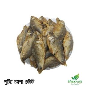 Puti Shutki | পুটির চ্যাপা শুটকি | Ready to Cook