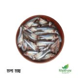 Mola Mach | মলা মাছ | Ready to Cook