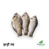 Swarputi Mach | স্বরপুটি মাছ | Ready to Cook